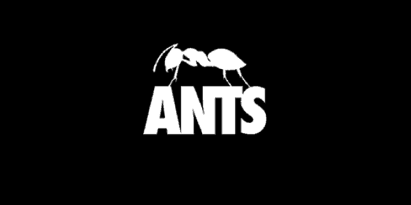 ANTS Day and Night Hï 2